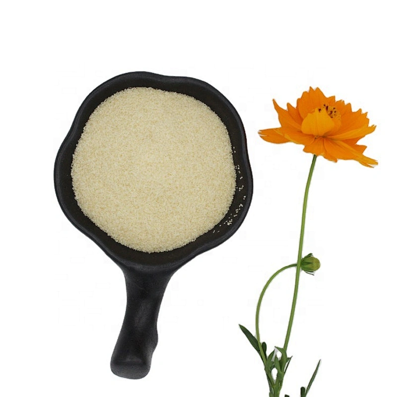 Henan gelatin factory produce food grade gelatin gelatin powder